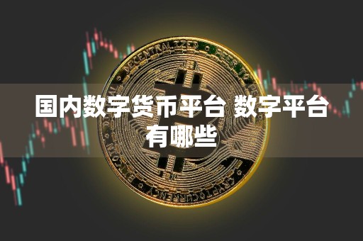 国内数字货币平台 数字平台有哪些