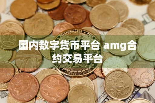 国内数字货币平台 amg合约交易平台