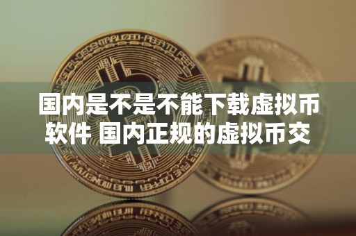国内是不是不能下载虚拟币软件 国内正规的虚拟币交易平台