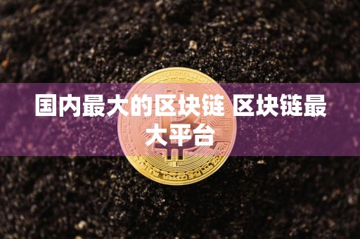 国内最大的区块链 区块链最大平台