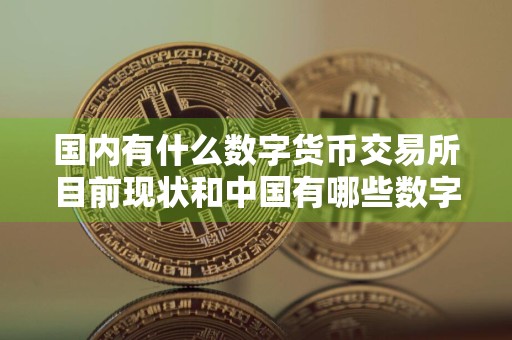 国内有什么数字货币交易所目前现状和中国有哪些数字货币交易所详细介绍