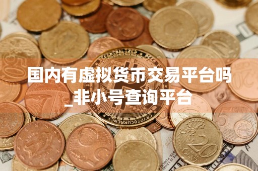 国内有虚拟货币交易平台吗_非小号查询平台