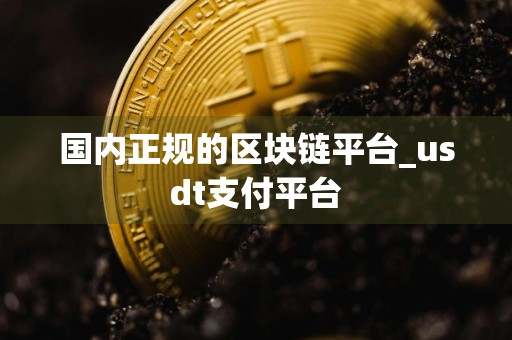 国内正规的区块链平台_usdt支付平台
