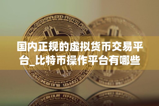 国内正规的虚拟货币交易平台_比特币操作平台有哪些