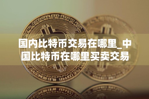 国内比特币交易在哪里_中国比特币在哪里买卖交易