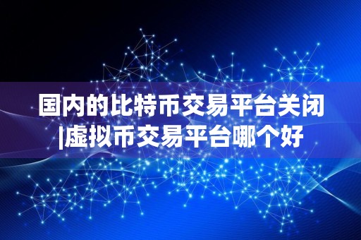 国内的比特币交易平台关闭|虚拟币交易平台哪个好