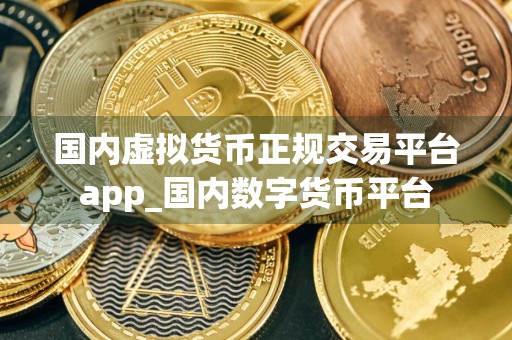 国内虚拟货币正规交易平台app_国内数字货币平台