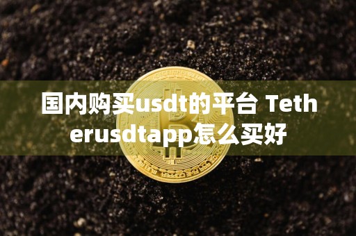国内购买usdt的平台 Tetherusdtapp怎么买好