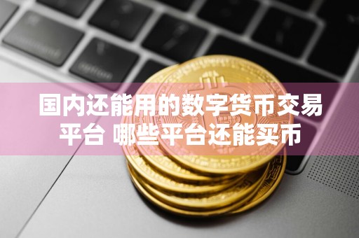 国内还能用的数字货币交易平台 哪些平台还能买币