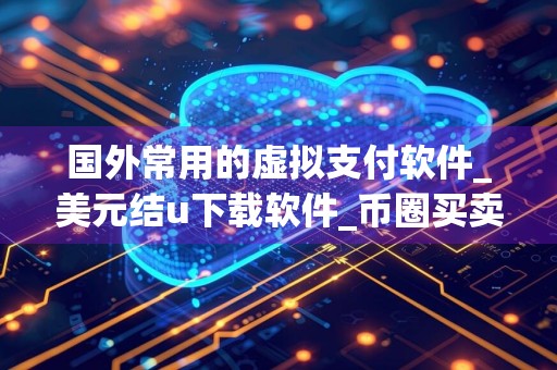国外常用的虚拟支付软件_美元结u下载软件_币圈买卖app