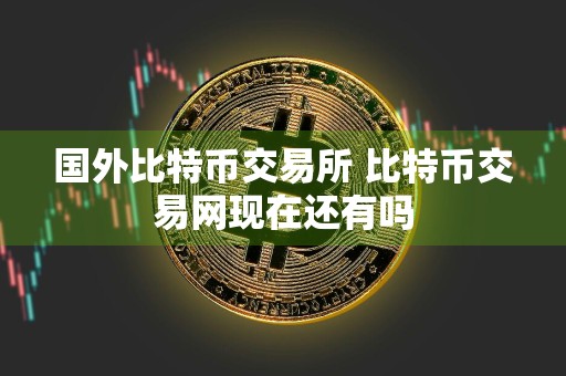 国外比特币交易所 比特币交易网现在还有吗