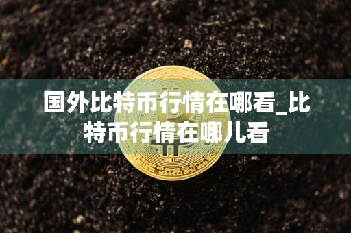 国外比特币行情在哪看_比特币行情在哪儿看