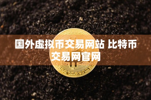 国外虚拟币交易网站 比特币交易网官网