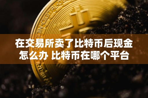在交易所卖了比特币后现金怎么办 比特币在哪个平台上购买
