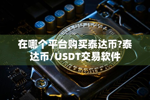 在哪个平台购买泰达币?泰达币/USDT交易软件