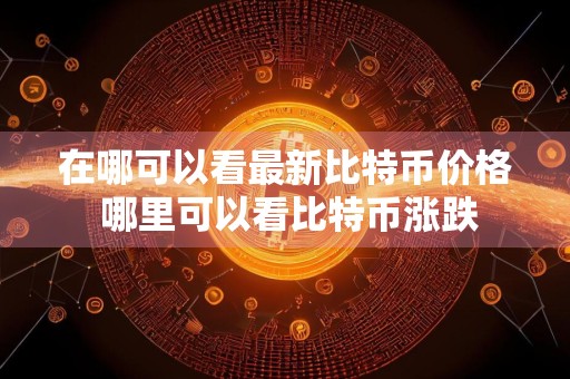 在哪可以看最新比特币价格 哪里可以看比特币涨跌