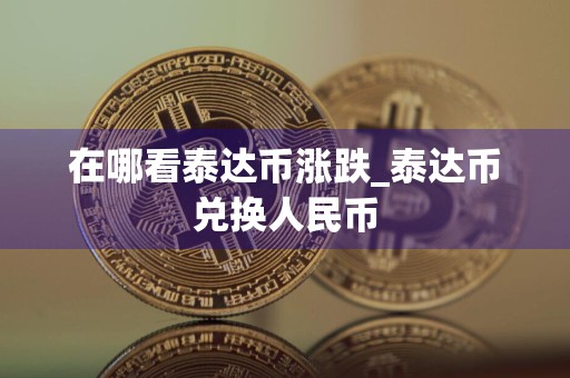 在哪看泰达币涨跌_泰达币兑换人民币