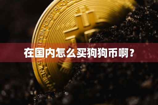 在国内怎么买狗狗币啊?