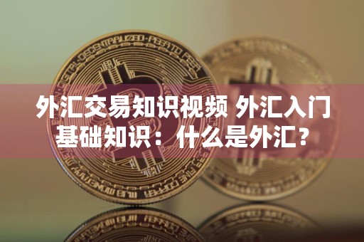 外汇交易知识视频 外汇入门基础知识：什么是外汇？