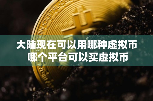 大陆现在可以用哪种虚拟币 哪个平台可以买虚拟币