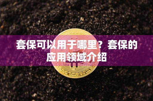 套保可以用于哪里?套保的应用领域介绍