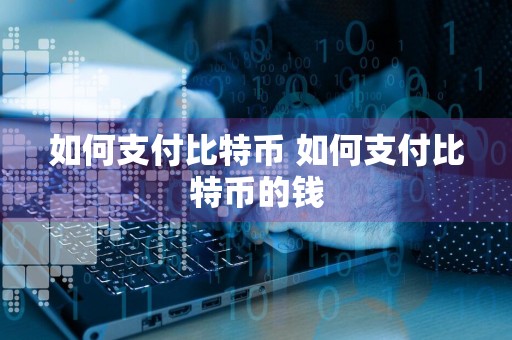 如何支付比特币 如何支付比特币的钱