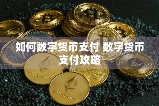 如何数字货币支付 数字货币支付攻略