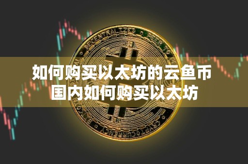 如何购买以太坊的云鱼币 国内如何购买以太坊