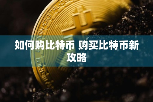如何购比特币 购买比特币新攻略