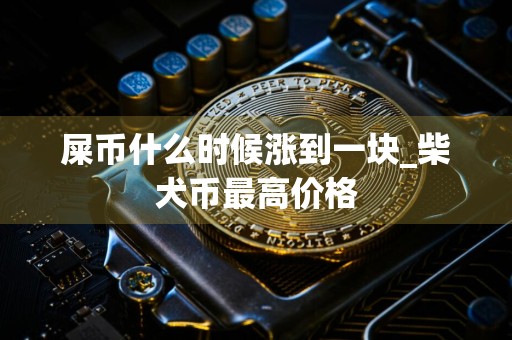 屎币什么时候涨到一块_柴犬币最高价格