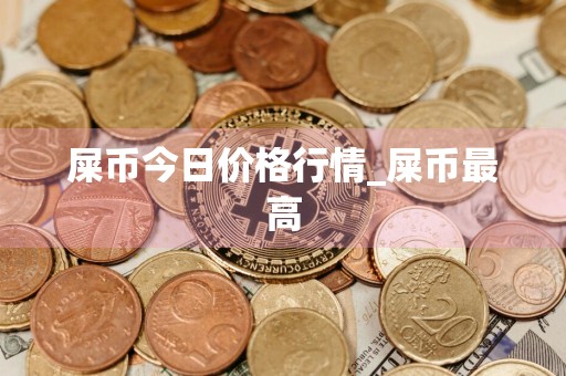 屎币今日价格行情_屎币最高