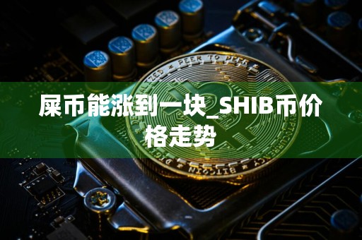 屎币能涨到一块_SHIB币价格走势