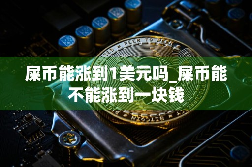 屎币能涨到1美元吗_屎币能不能涨到一块钱
