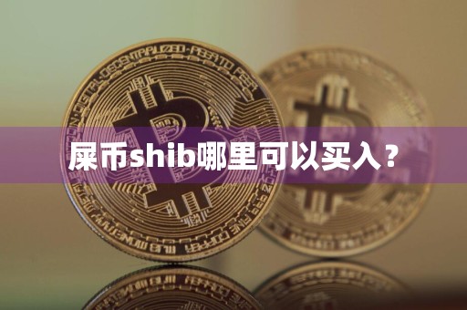 屎币shib哪里可以买入?