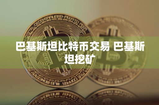 巴基斯坦比特币交易 巴基斯坦挖矿