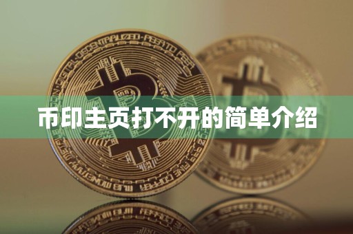 币印主页打不开的简单介绍