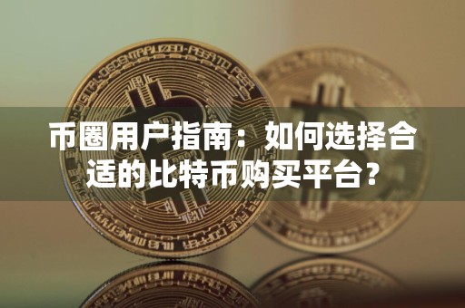 币圈用户指南:如何选择合适的比特币购买平台?