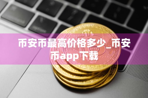 币安币最高价格多少_币安币app下载