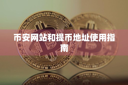币安网站和提币地址使用指南