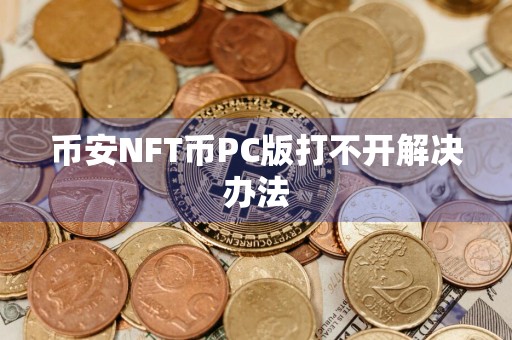 币安NFT币PC版打不开解决办法