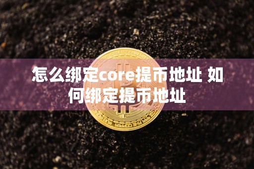 怎么绑定core提币地址 如何绑定提币地址