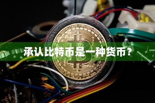 承认比特币是一种货币？