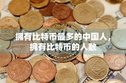 拥有比特币最多的中国人,拥有比特币的人数