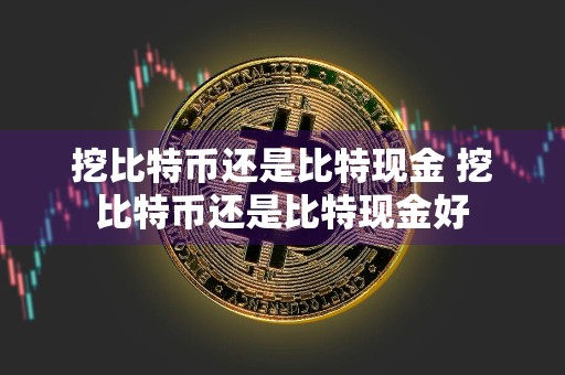 挖比特币还是比特现金 挖比特币还是比特现金好