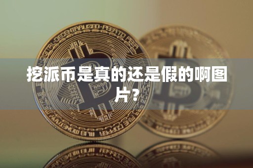 挖派币是真的还是假的啊图片？