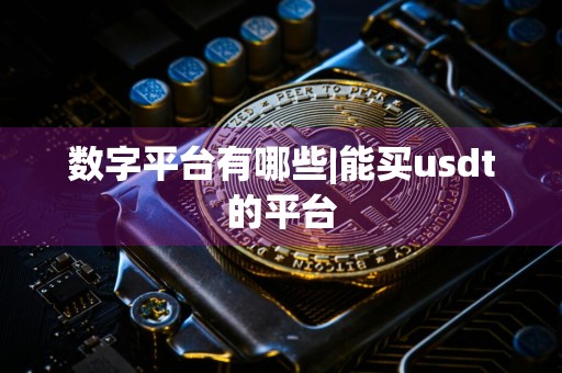 数字平台有哪些|能买usdt的平台