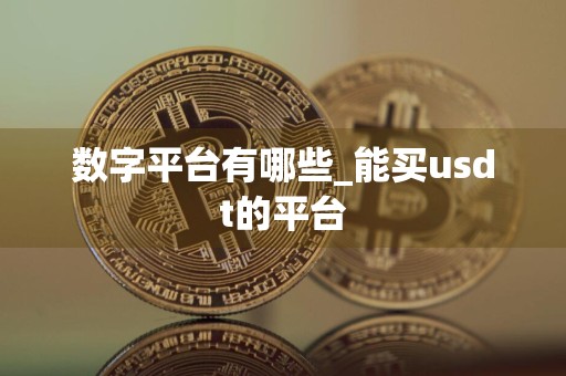 数字平台有哪些_能买usdt的平台