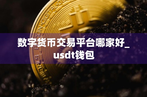 数字货币交易平台哪家好_usdt钱包