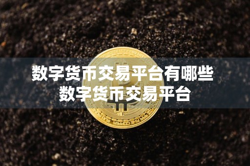 数字货币交易平台有哪些 数字货币交易平台