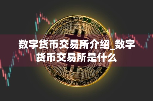 数字货币交易所介绍_数字货币交易所是什么